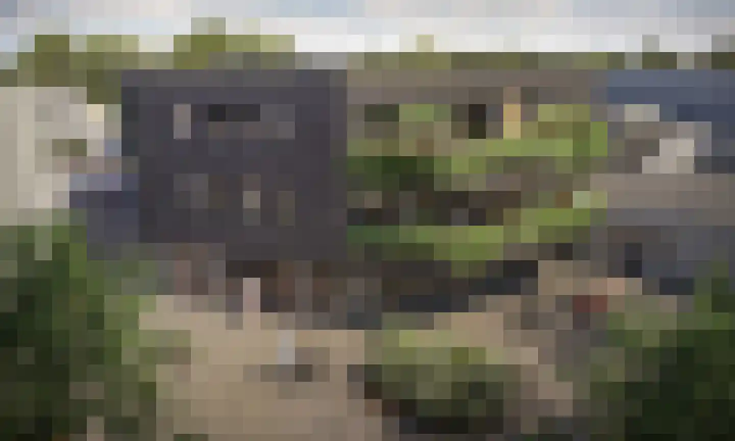 De Bunders 62 Veghel foto 2