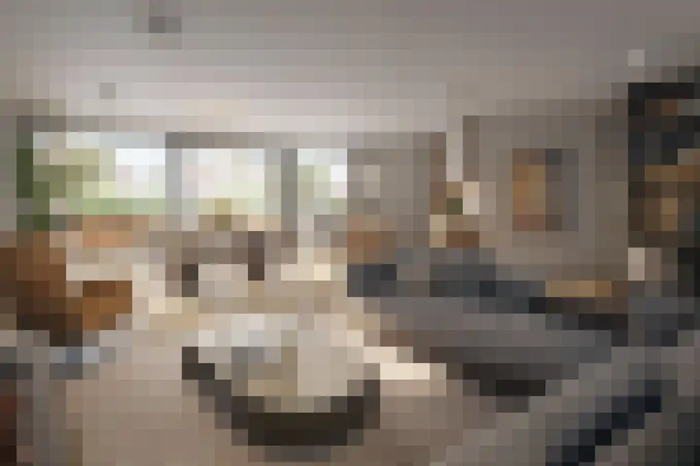 De Bunders 62 Veghel thumbnail 4