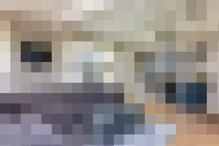 De Bunte 57 Vroomshoop thumbnail 10