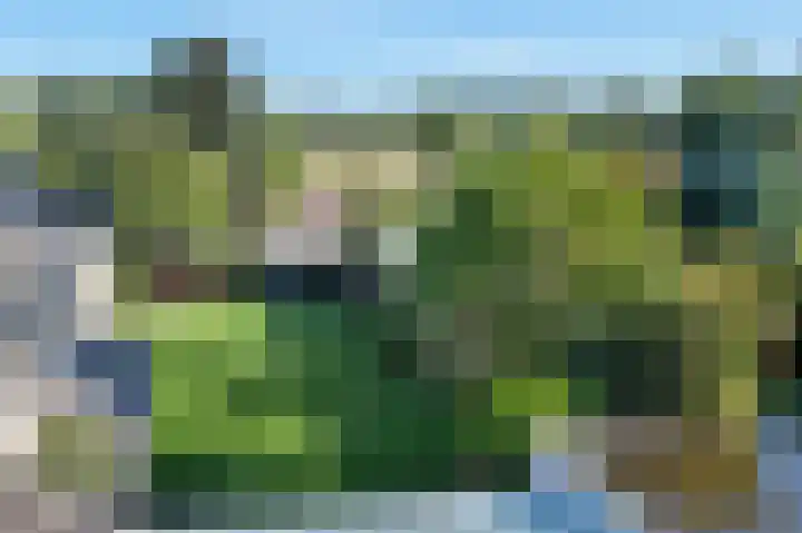 De Bunte 57 Vroomshoop thumbnail 12