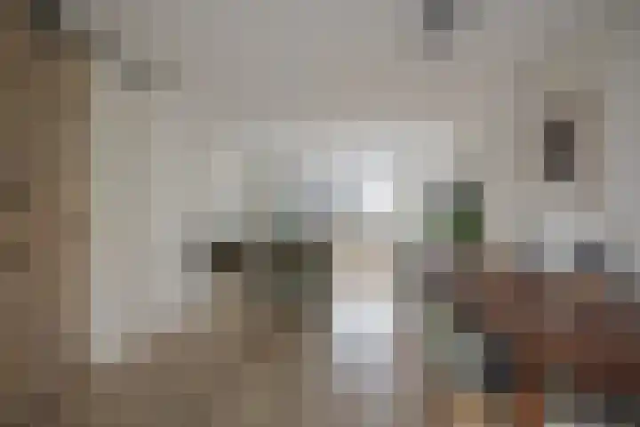 De Bunte 57 Vroomshoop thumbnail 13