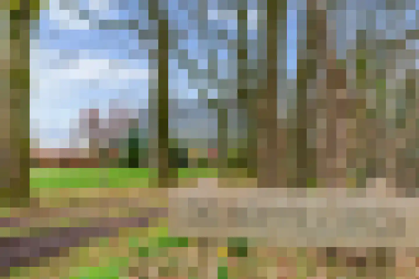 De Bunte 57 Vroomshoop thumbnail 16