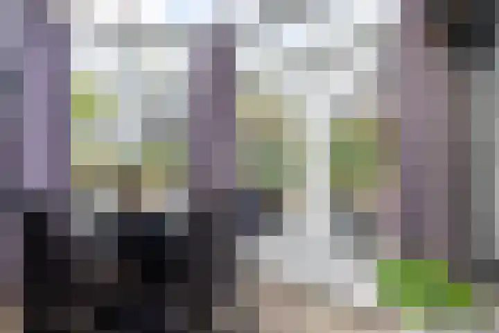 De Bunte 57 Vroomshoop thumbnail 24