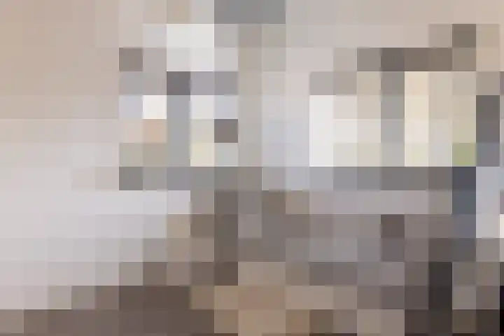 De Bunte 57 Vroomshoop thumbnail 26