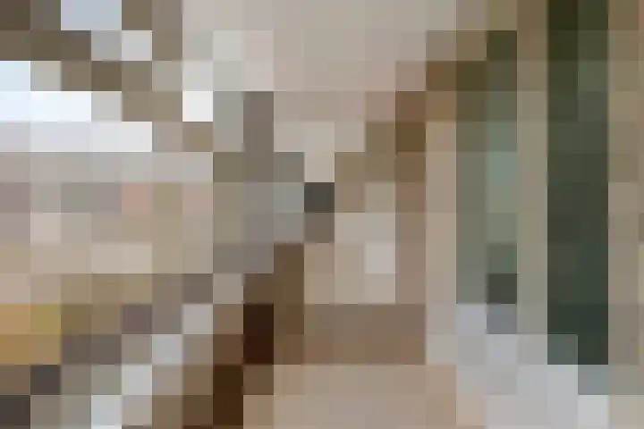 De Bunte 57 Vroomshoop thumbnail 27