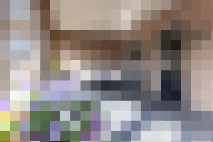 De Bunte 57 Vroomshoop thumbnail 30