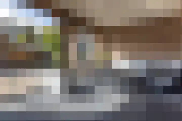 De Bunte 57 Vroomshoop thumbnail 31