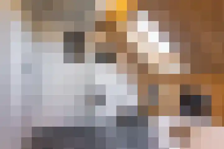 De Bunte 57 Vroomshoop thumbnail 35