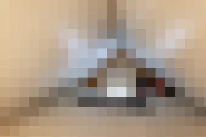 De Bunte 57 Vroomshoop thumbnail 36