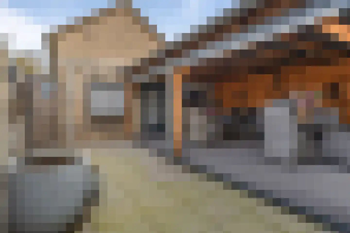 De Bunte 57 Vroomshoop thumbnail 37