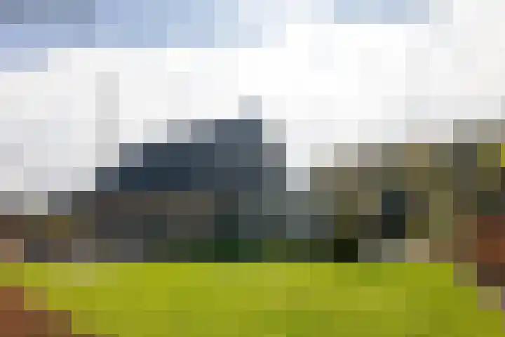 De Bunte 57 Vroomshoop thumbnail 38