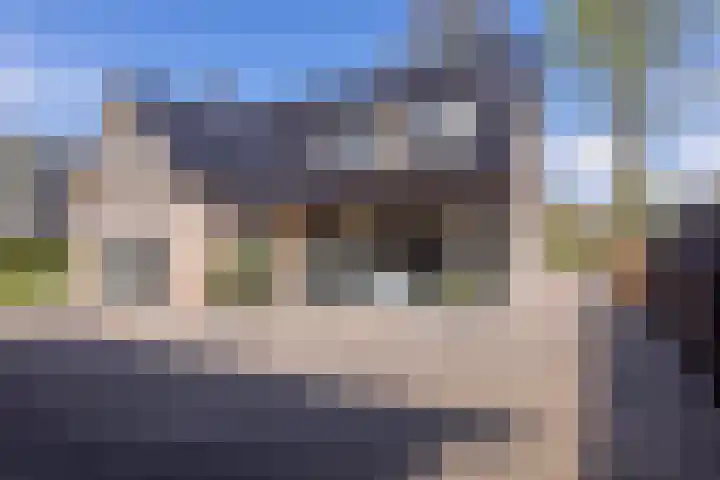 De Bunte 57 Vroomshoop thumbnail 41