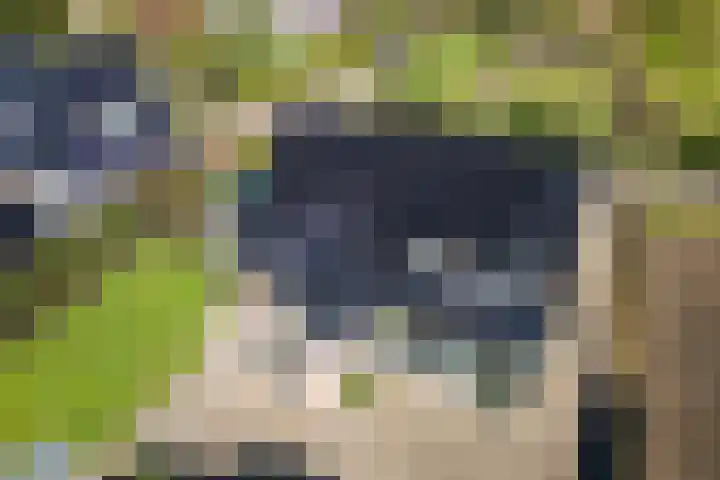 De Bunte 57 Vroomshoop thumbnail 47