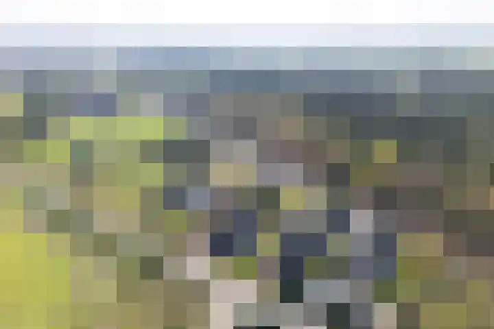 De Bunte 57 Vroomshoop thumbnail 5