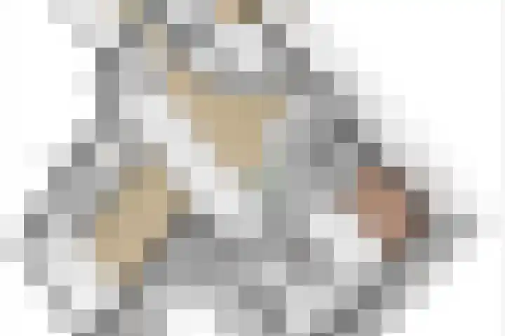 De Bunte 57 Vroomshoop thumbnail 52