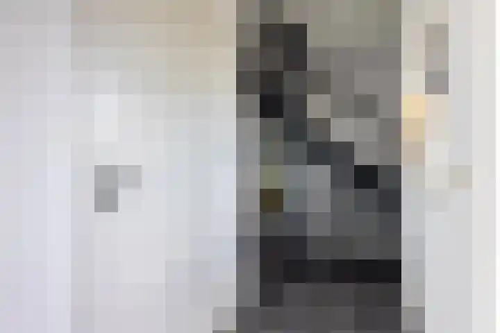 De Bunte 57 Vroomshoop thumbnail 6
