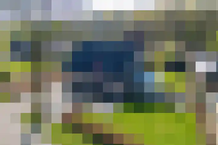 De Bunte 57 Vroomshoop thumbnail 60