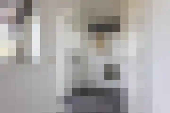 De Bunte 57 Vroomshoop thumbnail 7