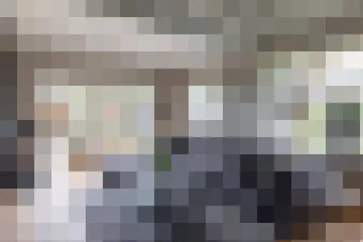 De Bunte 57 Vroomshoop thumbnail 8