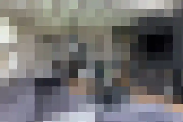 De Bunte 57 Vroomshoop thumbnail 9