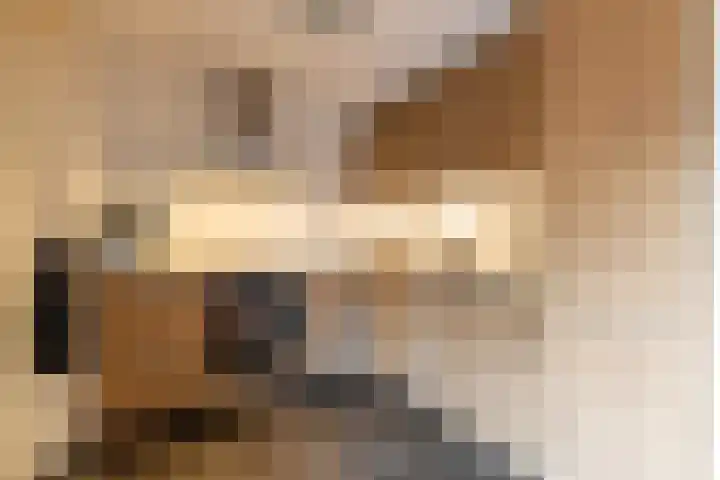 De Bunte 9 Vroomshoop thumbnail 17