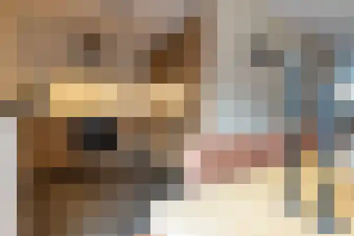 De Bunte 9 Vroomshoop thumbnail 18