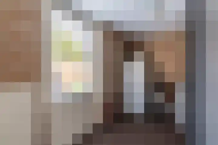 De Bunte 9 Vroomshoop thumbnail 21