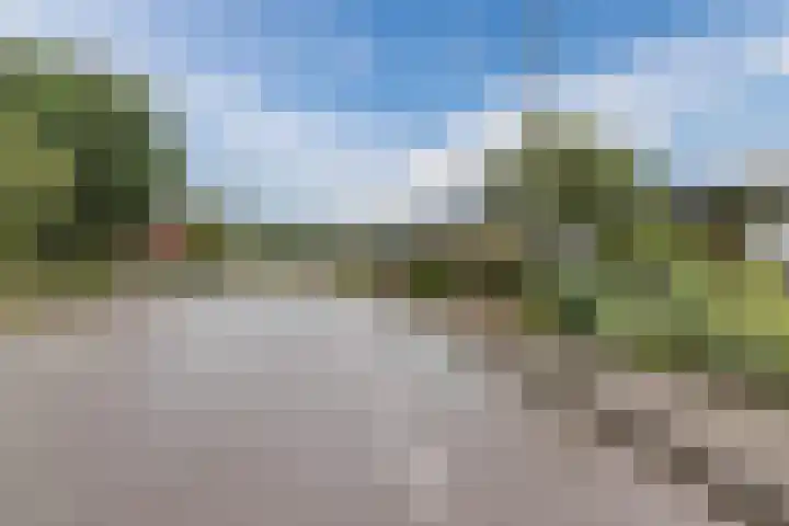 De Bunte 9 Vroomshoop thumbnail 23