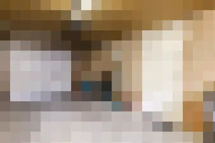 De Bunte 9 Vroomshoop thumbnail 23