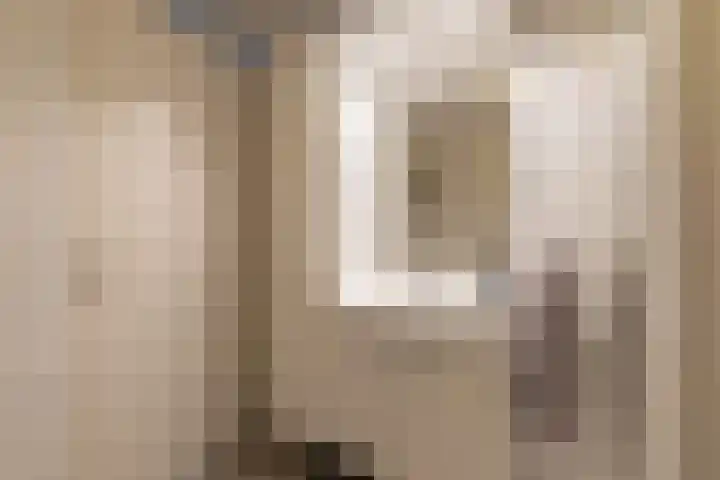 De Bunte 9 Vroomshoop thumbnail 25