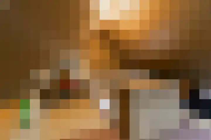 De Bunte 9 Vroomshoop thumbnail 29
