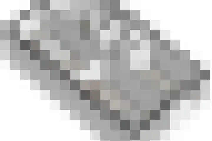 De Bunte 9 Vroomshoop thumbnail 30
