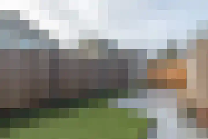 De Bunte 9 Vroomshoop thumbnail 32