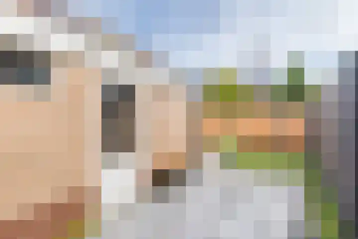 De Bunte 9 Vroomshoop thumbnail 33