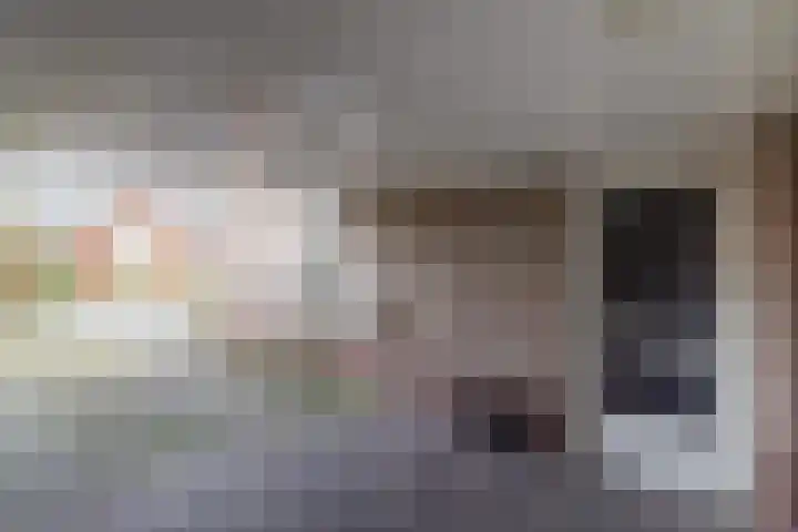 De Bunte 9 Vroomshoop thumbnail 34