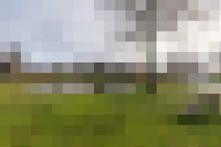 De Bunte 9 Vroomshoop thumbnail 35