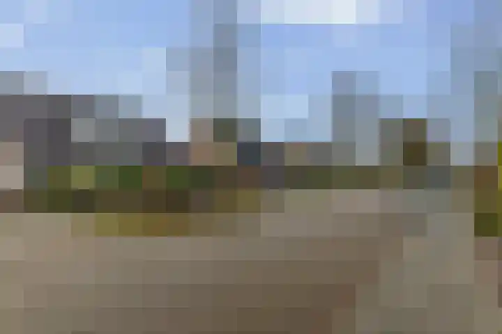 De Bunte 9 Vroomshoop thumbnail 38