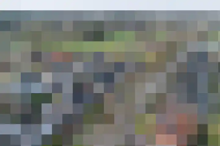 De Bunte 9 Vroomshoop thumbnail 5