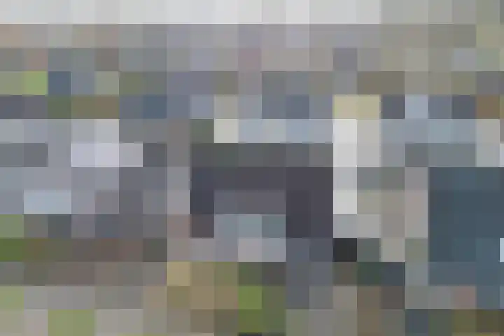 De Bunte 9 Vroomshoop thumbnail 6