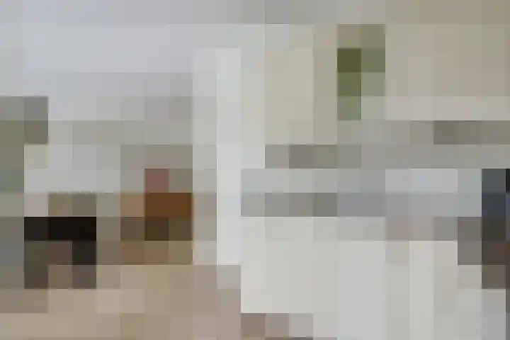 De Buntehof 2 Nunspeet thumbnail 13