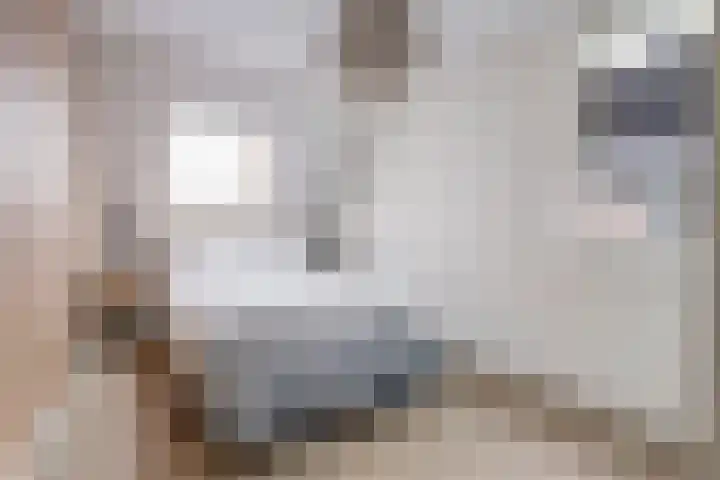 De Buntehof 2 Nunspeet thumbnail 15
