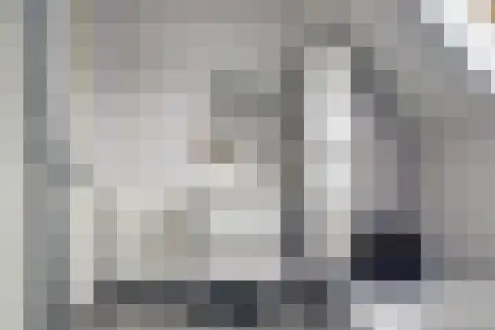 De Buntehof 2 Nunspeet thumbnail 17