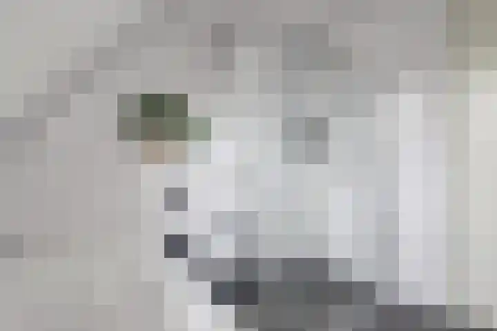 De Buntehof 2 Nunspeet thumbnail 18