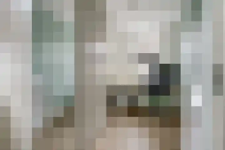De Buntehof 2 Nunspeet thumbnail 22