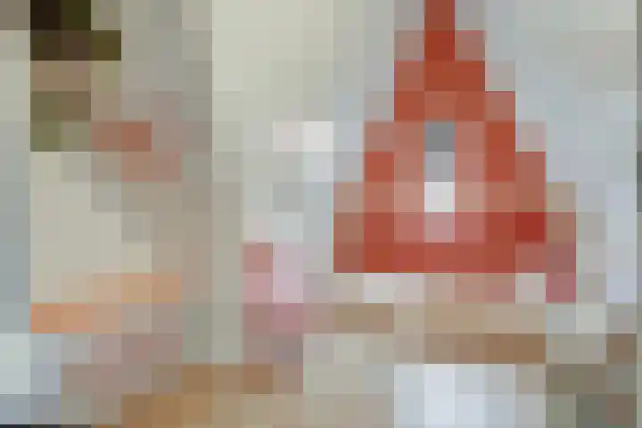 De Buntehof 2 Nunspeet thumbnail 24