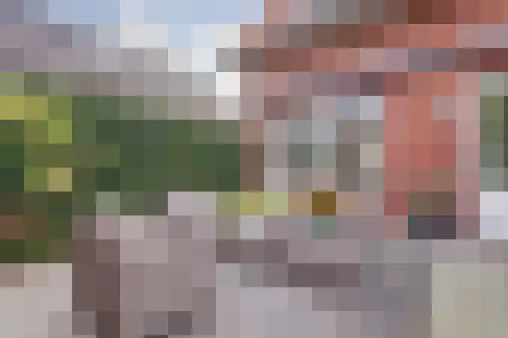De Buntehof 2 Nunspeet thumbnail 27
