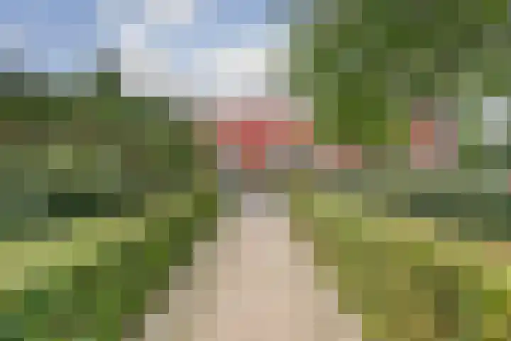 De Buntehof 2 Nunspeet thumbnail 29