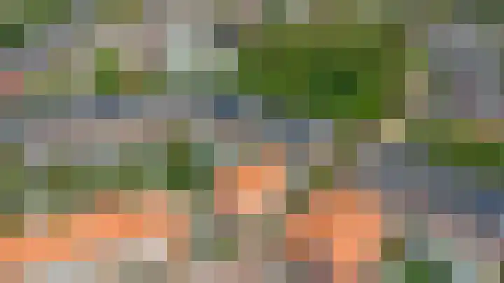 De Buntehof 2 Nunspeet thumbnail 31