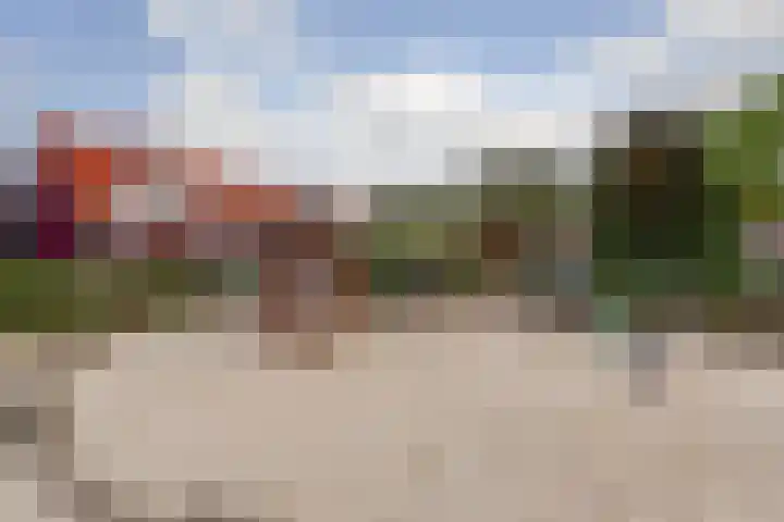 De Buntehof 2 Nunspeet thumbnail 35