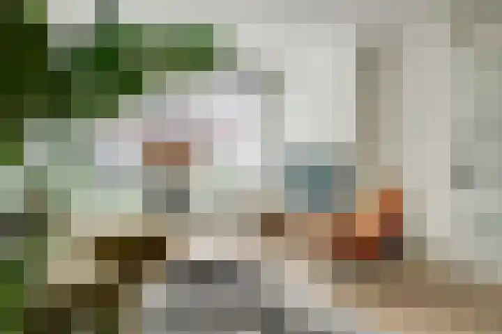 De Buntehof 2 Nunspeet thumbnail 9